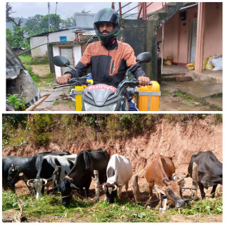 ३० हजार तलबमा विदेश जाँदा हण्डरठक्कर खाए, फर्केर गाउँमै कृषि थालेका कुमारले महिनाको ९० हजार कमाउँछन्